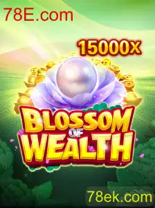 Desvendando o Enigmático Mundo de 'BlossomofWealth'